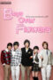 Boys Over Flowers Boys Over Flowers